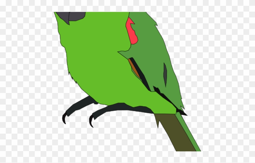 Parrot Clipart Parakeet - Parrot Clip Art - Png Download