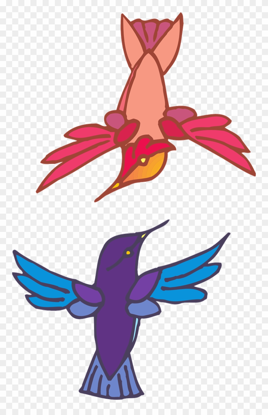 Two Birds Flying Colors Wings Png Image - Flying Two Birds Transparent Clipart