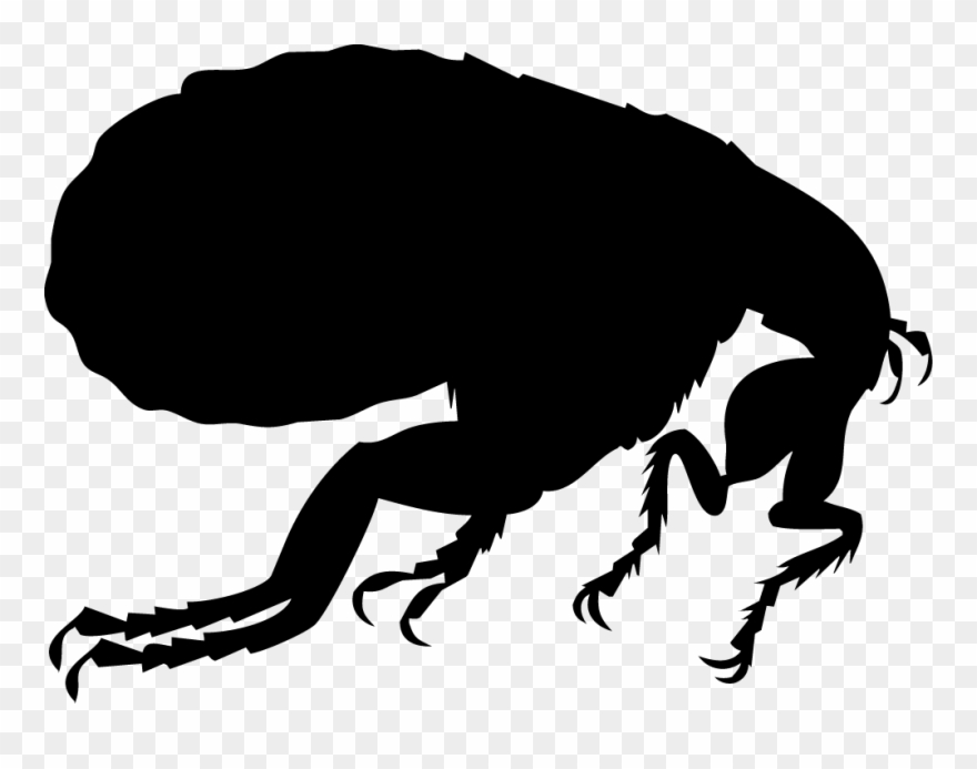 Dog Flea Silhouette Illustration - Flea Silhouette Clipart