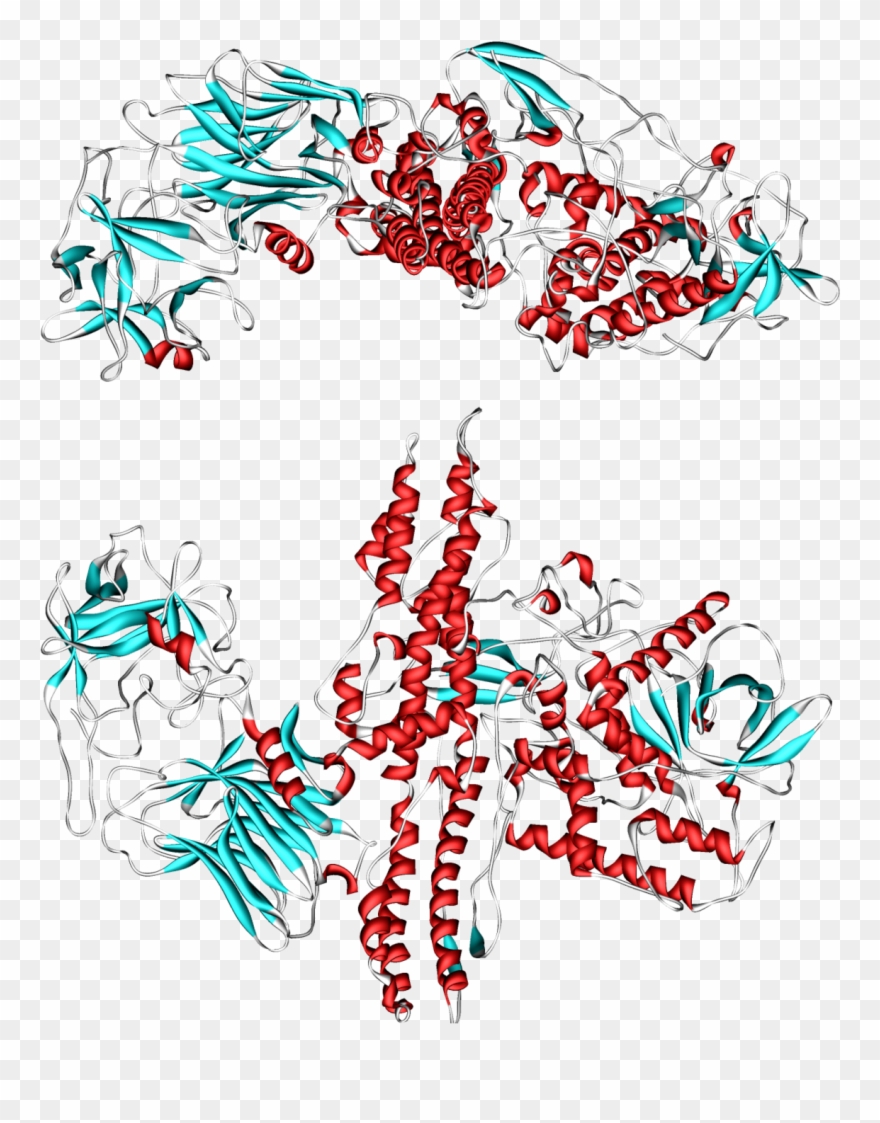 Botulinum Toxin Clipart