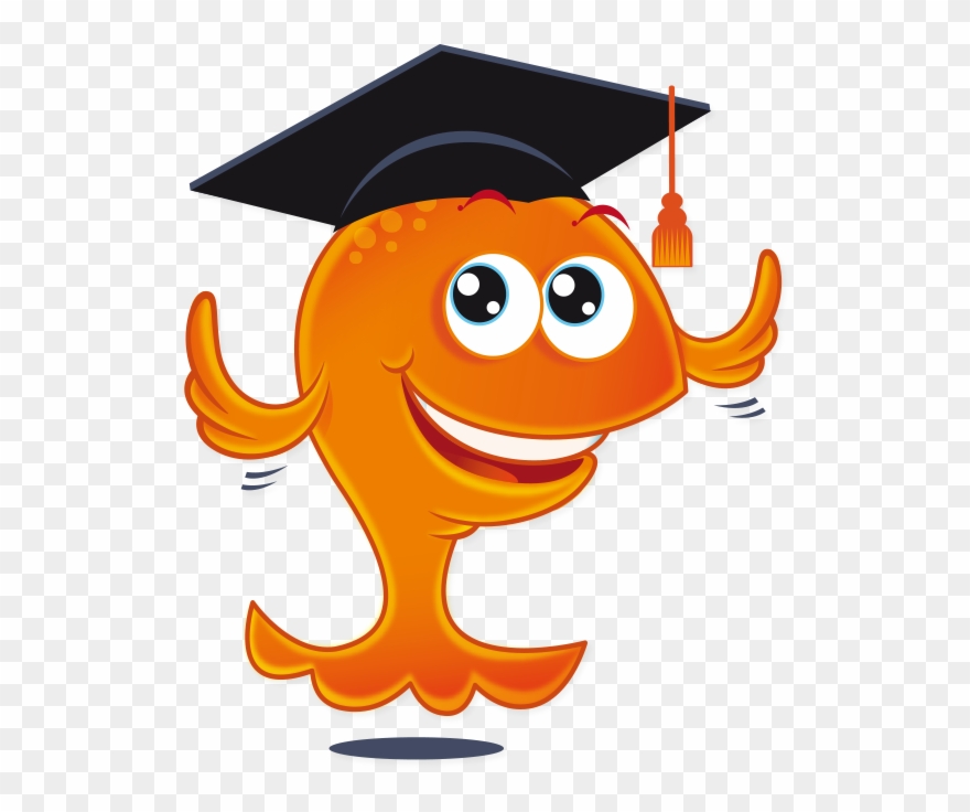 Video - Clipart