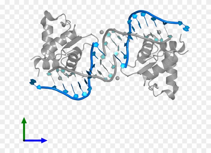 <div Class='caption-body'>pdb Entry 4uno Contains 2 - Calligraphy Clipart