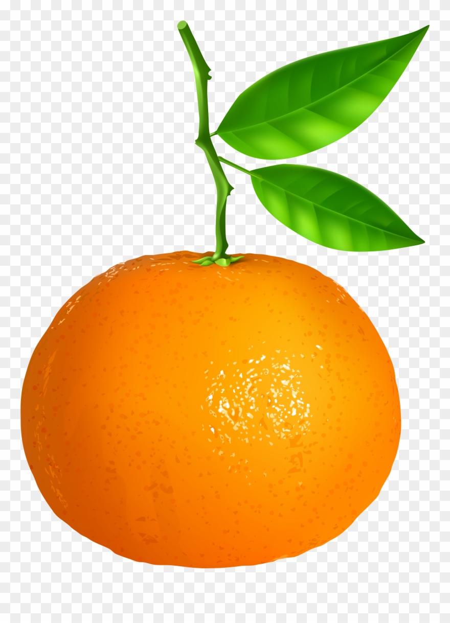 Laranja Png Desenho Clipart
