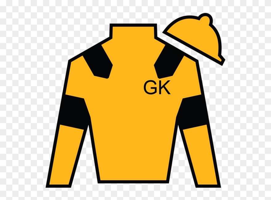 Owner Link - Hood By Air Long Sleeve Grey Clipart