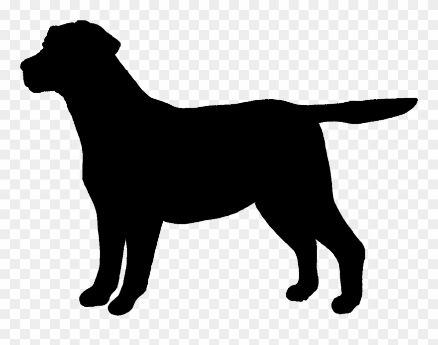 Outline Of A Labrador Clipart
