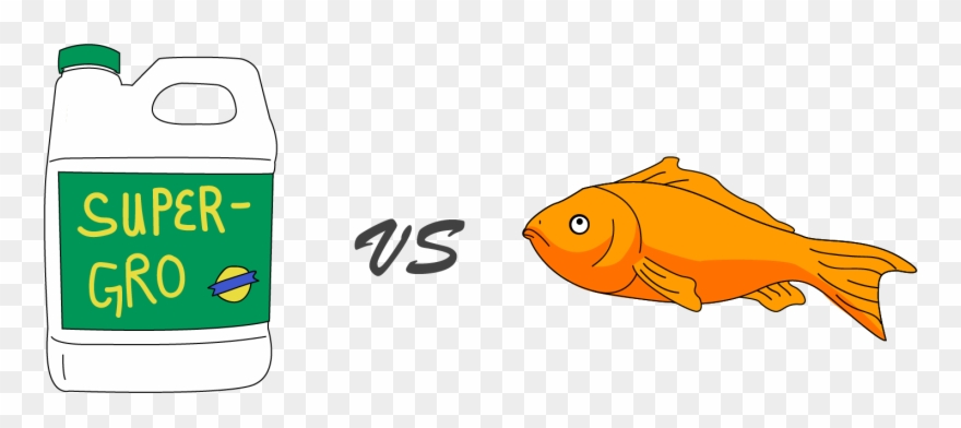 Aquaponics Vs Hydroponics - Ati Radeon Hd 5890 Clipart