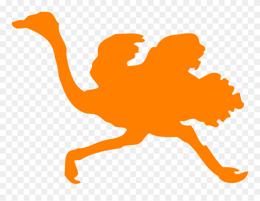 Custom Black Ostrich Silhouette Shower Curtain Clipart