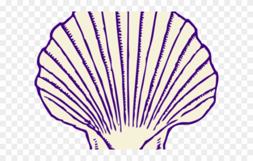 Seashell Sea Clipart Transparent - Png Download