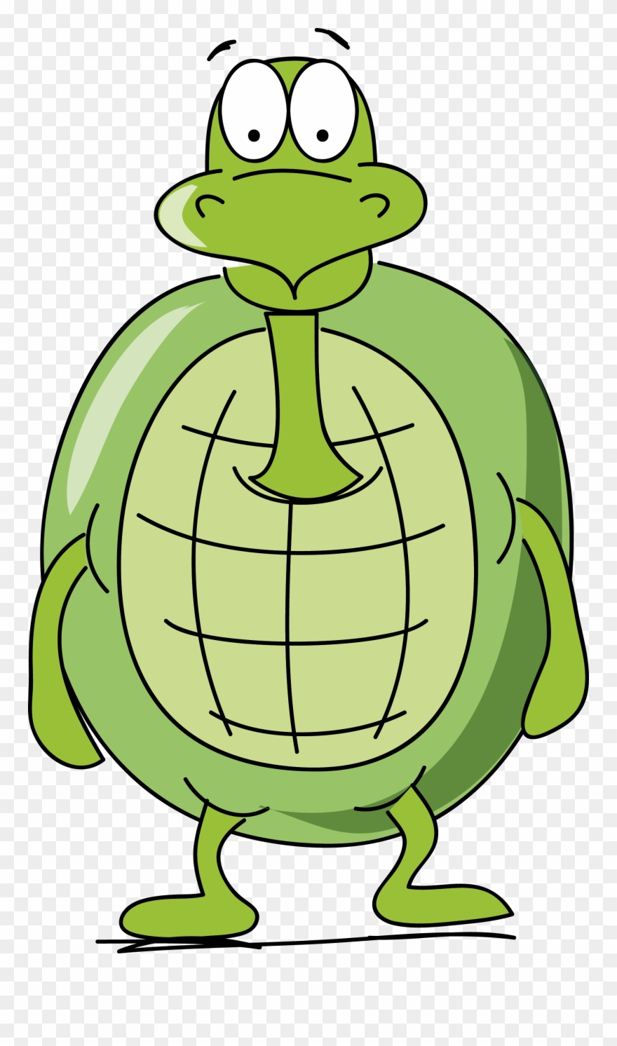 La Tortuga Estaba Muy Triste, Pues Ya Hacía Casi Un - Education Clipart