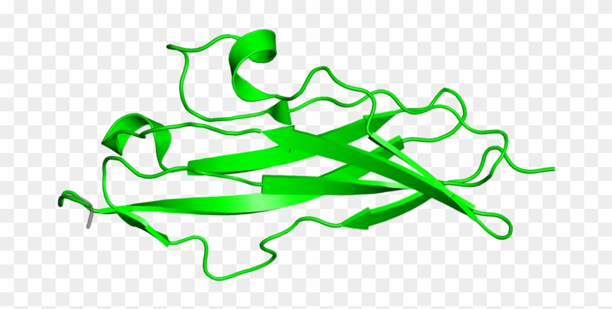 <div Class='caption-body'>5 Copies Of Cath Domain < - Protein Data Bank Clipart