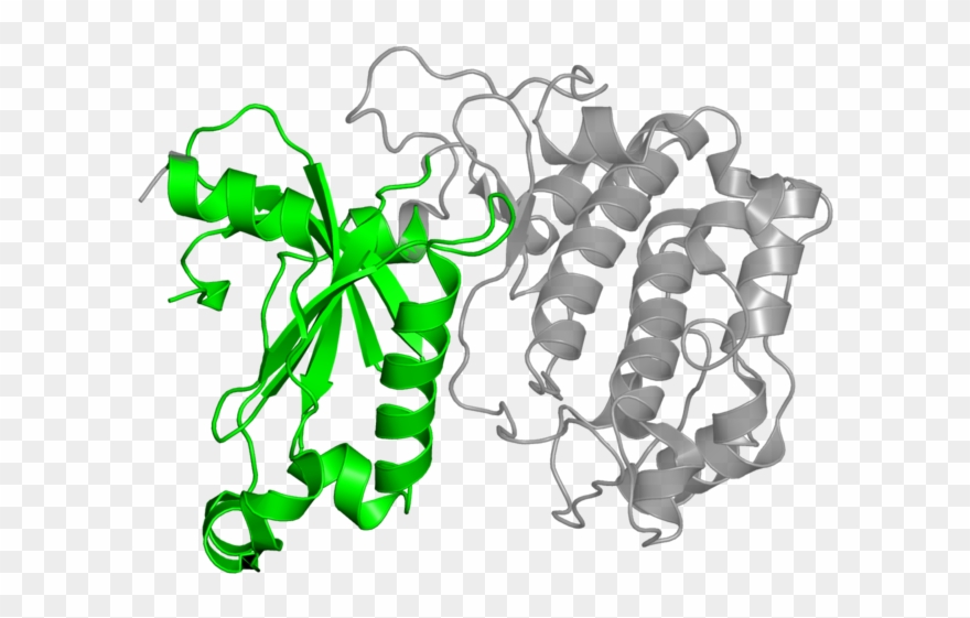 <div Class='caption-body'>1 Copy Of Cath Domain - Illustration Clipart