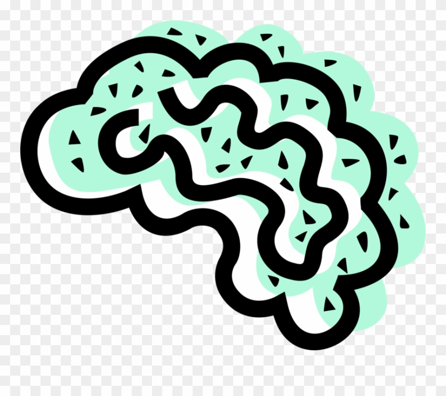 Vector Illustration Of Human Brain Organ Serves As - Illustration Clipart