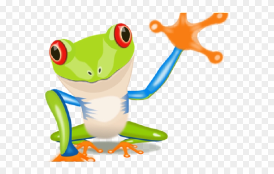 Toucan Clipart Rainforest Monkey - Rainforest Clip Art Frog - Png Download