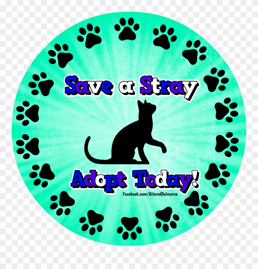 Pre-owned Cats Are Awesome Adopt Your Next Friend From - Custom Cat Sitting Pillow Case Clipart