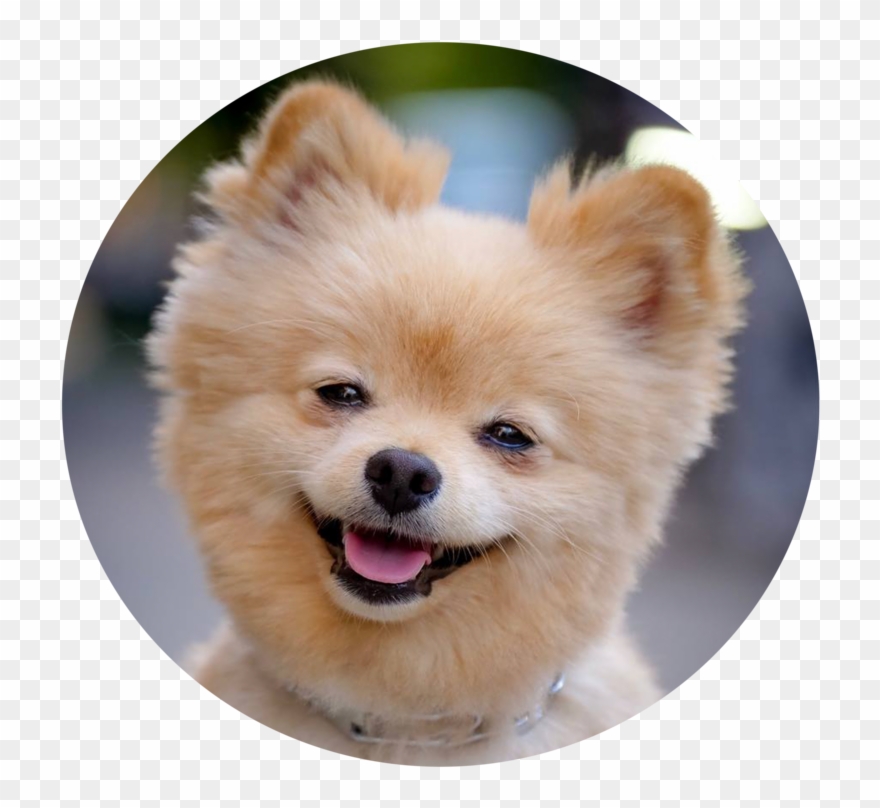 Set Up For Success Programs Clipart