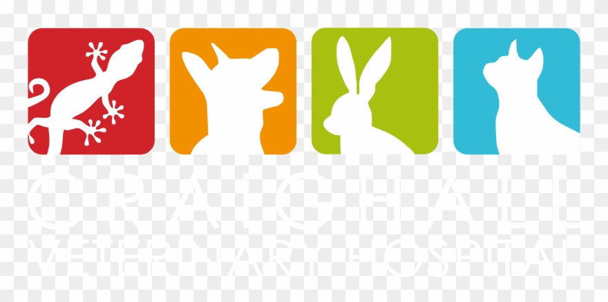 Craighall Veterinary Hospital Clipart