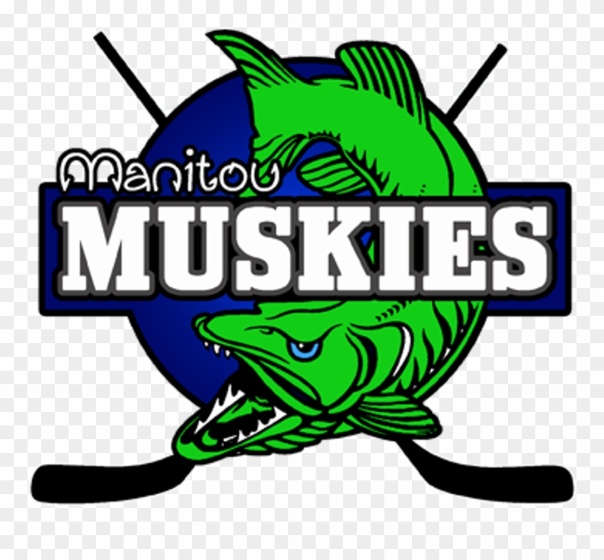 Muskies Program Overview - Minnesota Muskies Clipart