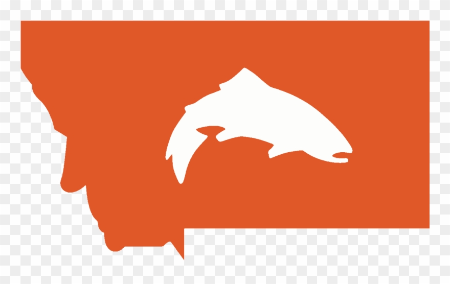 Simms Montana State Trout Decal - Montana Be Found Sticker Clipart
