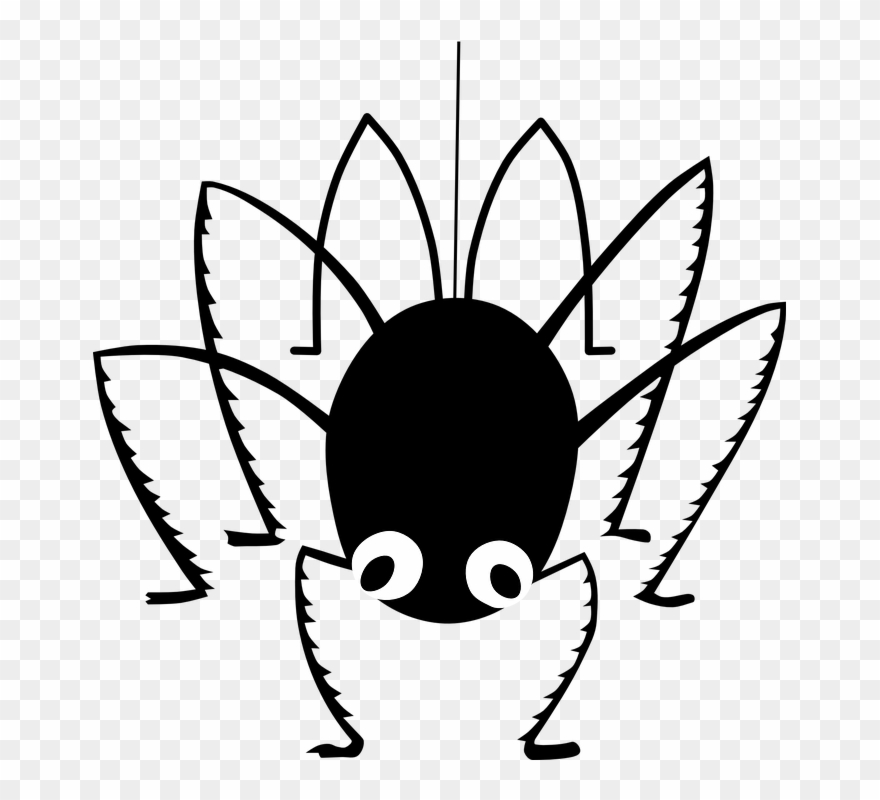 Collection Of Turkey Buy Any Image And - Spider Moving Clip Art - Png Download