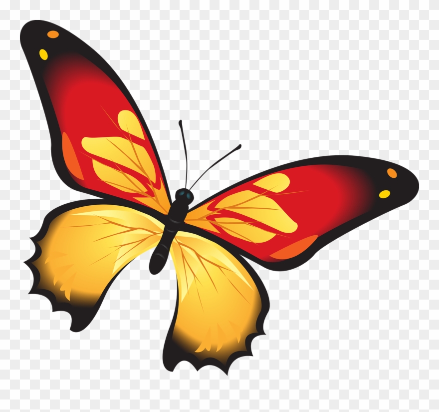 Yellow Butterfly Clipart 24, Buy Clip Art - Gambar Kupu Kupu Warna Merah - Png Download