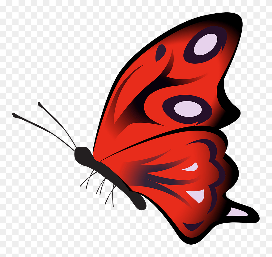 Real Butterfly Cliparts 25, Buy Clip Art - Papillon Rouge Png Transparent Png