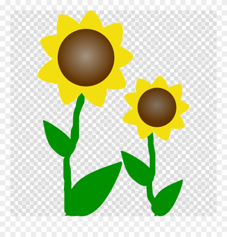 Free Sunflower Clipart Clip Art - Clipart Sunflowers - Png Download