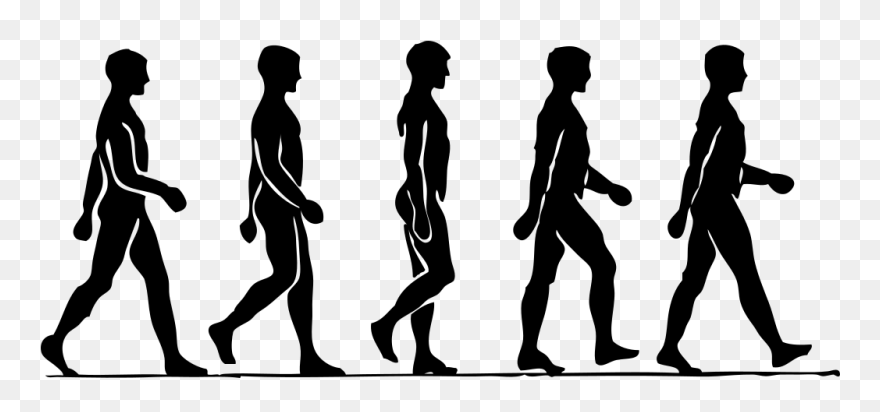 Clipart - Walking - Person Walking Drawing - Png Download
