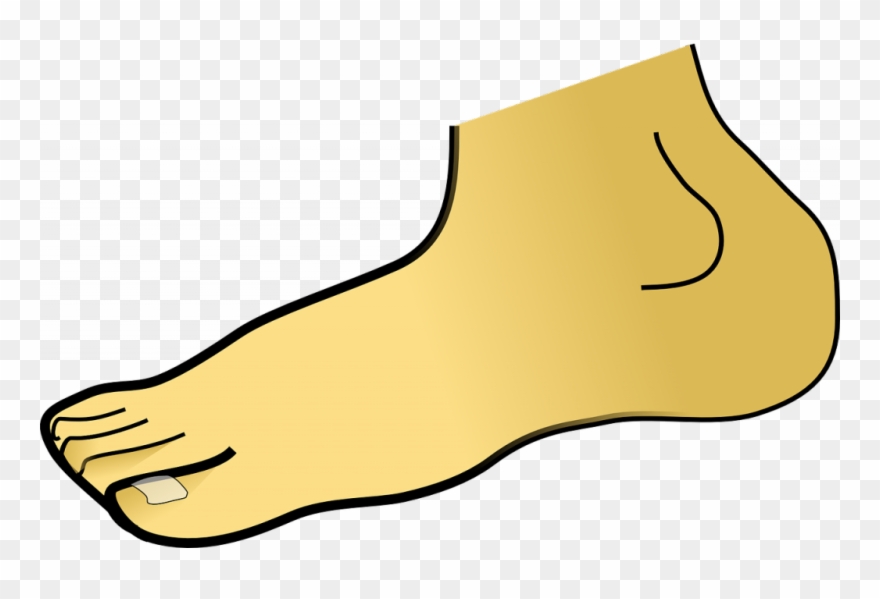 Sheldon Fleishman, Dpm Is A Podiatrist In Blue Springs - Foot Clipart - Png Download