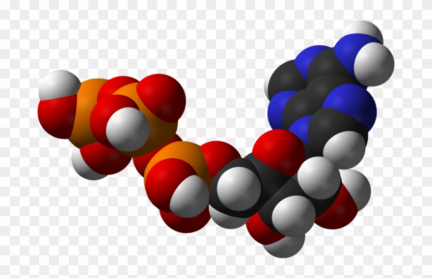 Slow Metabolism - Atp Molecule Png Clipart