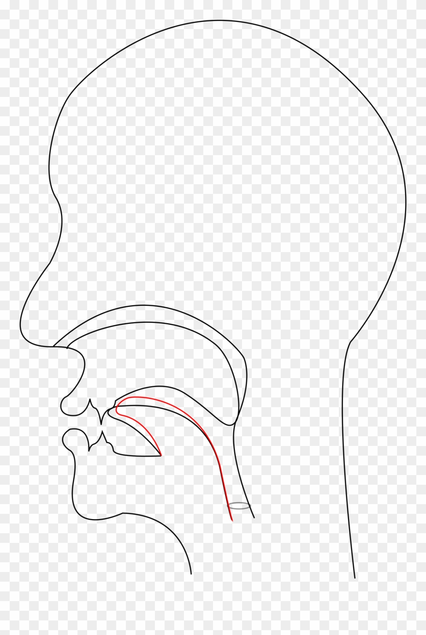 Big Image - Nasal Consonant Clipart