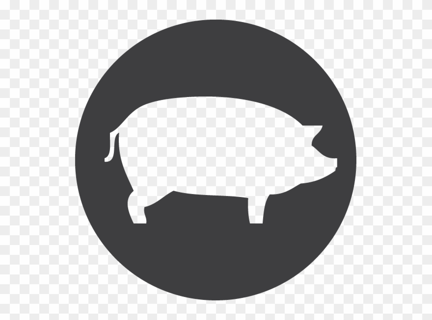 Bacon, Domestic, Farm, Pig, Piglet, Pork Icon - Way Forward Icon Png Clipart