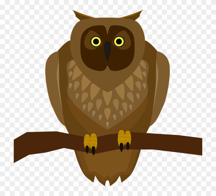 Owl Cartoon Png 22, Buy Clip Art - Brown Owl Shower Curtain Transparent Png
