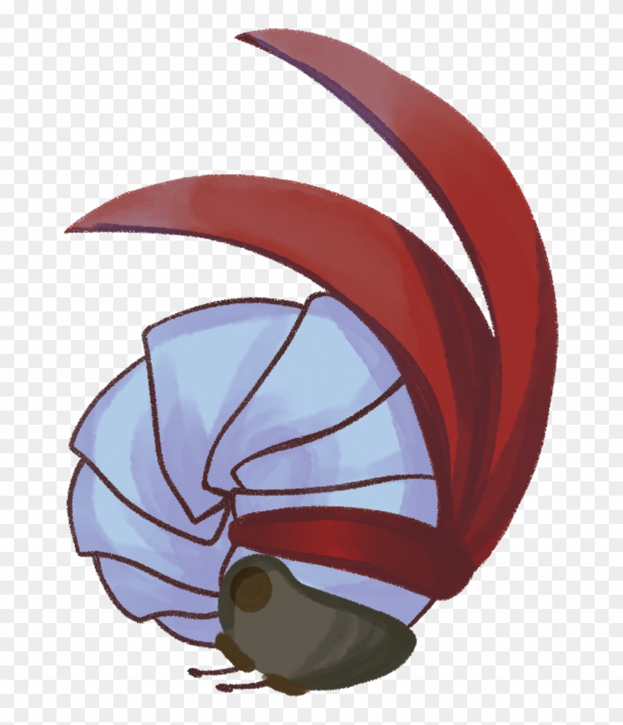 A Racing Roly Poly - Cartoon Clipart