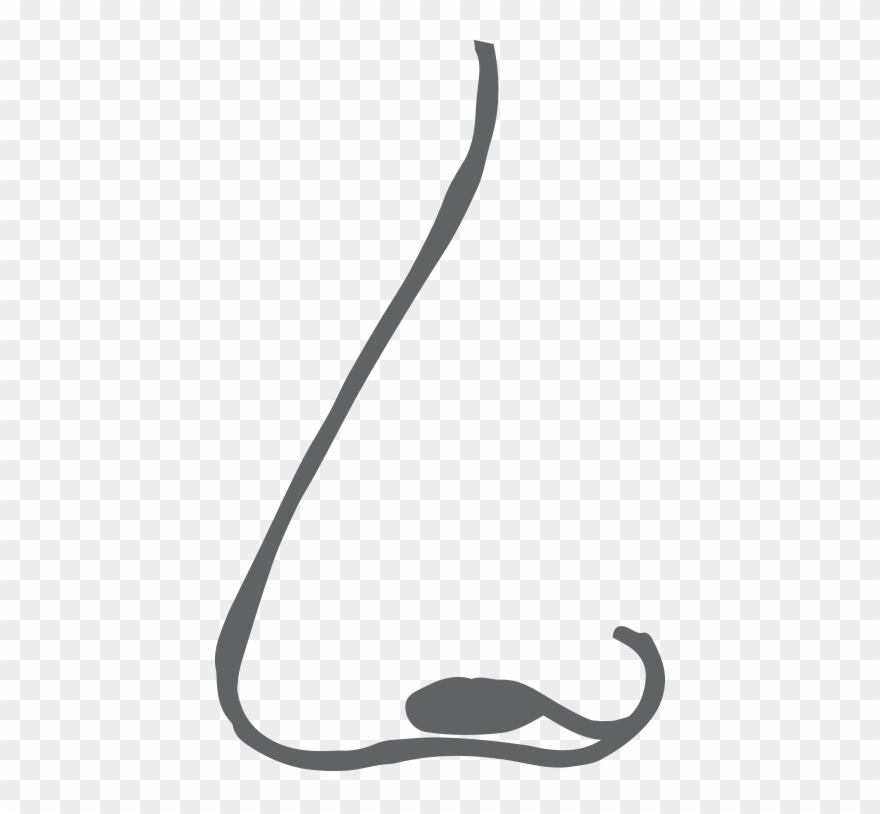 Smell Mint & Lemon Clipart