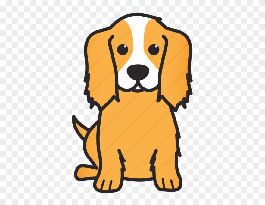 Cartoon Spaniel Clipart Cavalier King Charles Spaniel - Cavalier King Charles Spaniel - Png Download