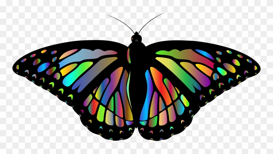 All Photo Png Clipart - Ala De Mariposa Monarca Png Transparent Png