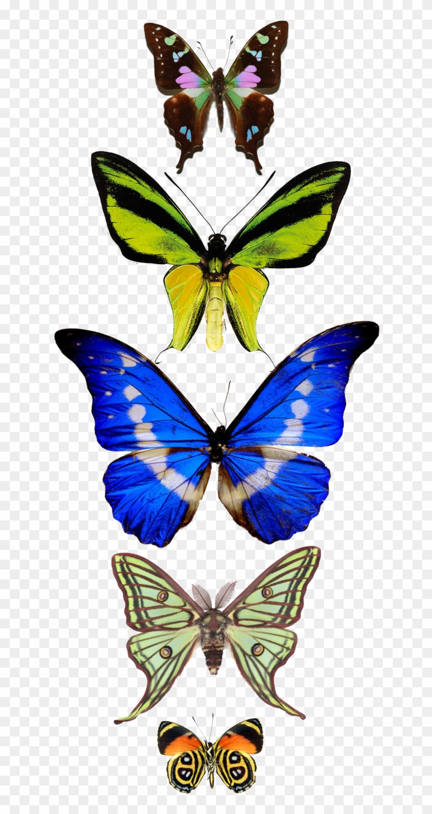 Your Home Should Tell The Story Of Who You Are, And Clipart