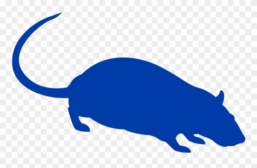 Mouse And Rat Prevention And Pest Control Tips From - Pest Control Clipart