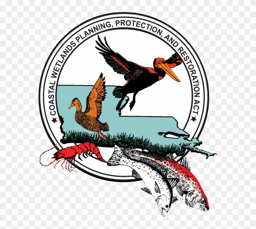 Coastal Wetlands Planning, Protection, And Restoration - Coastal Wetlands Planning, Protection And Restoration Clipart