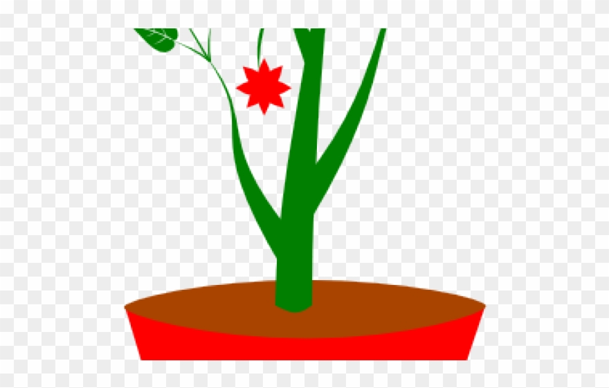 Flowerpots Clipart Gambar - Clip Art - Png Download