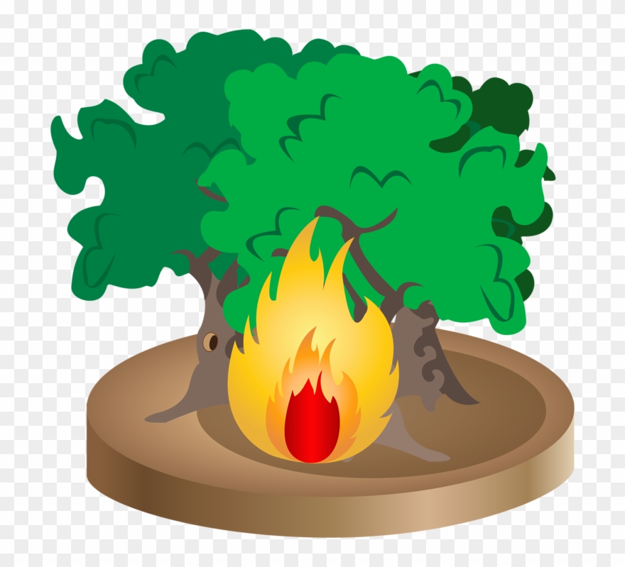 Firefighter Cartoon Conflagration Deep Fires - Incêndio Floresta Desenho Clipart