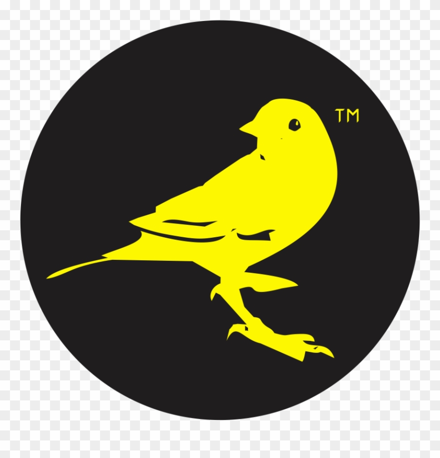 Canary Canary - Canary Connect Clipart
