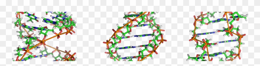 My Personal Gene Map - Molecule Dna Clipart