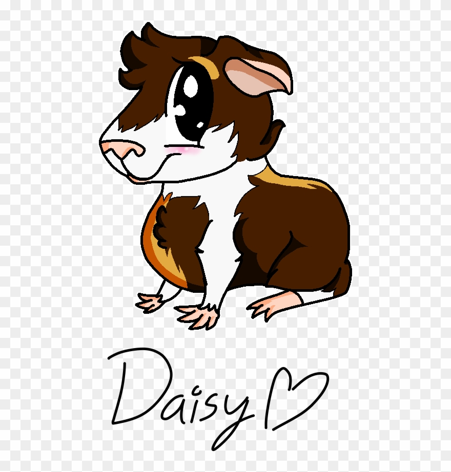 Guinea Pig Clipart