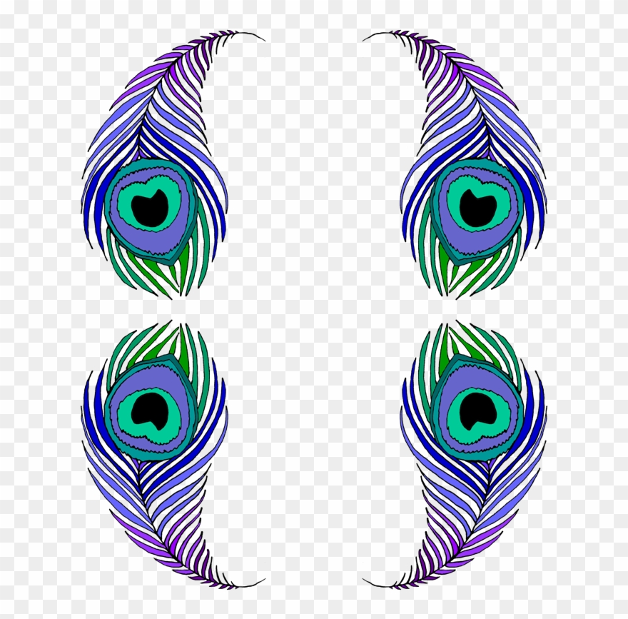 Peacock Feather For Coloring Clipart