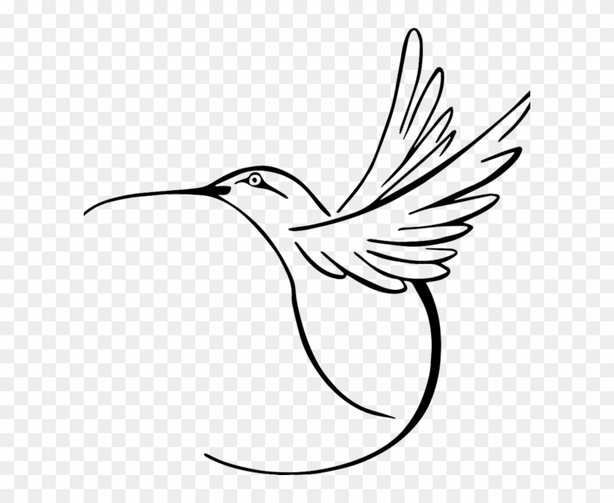 Hummingbird Vector Clipart