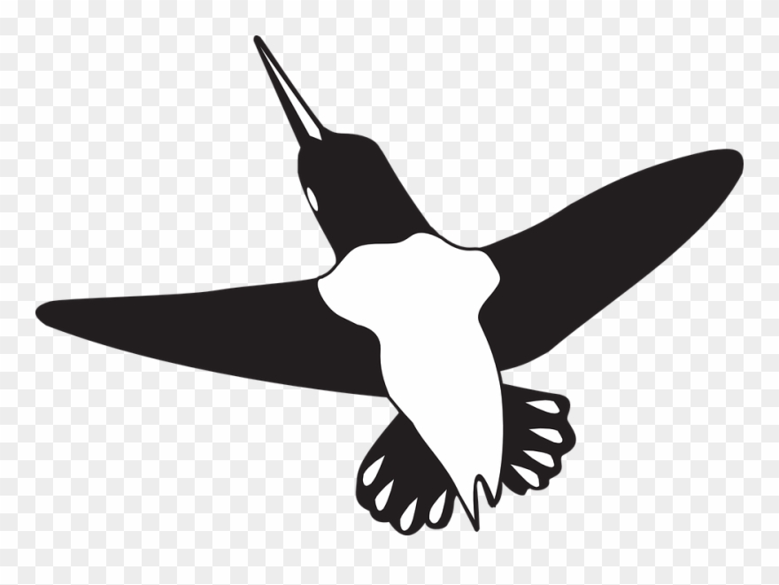 Free Hummingbird Clipart 20, Buy Clip Art - Hummingbird - Png Download