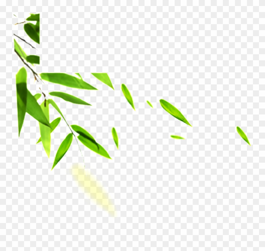Hand Painted Bamboo Leaves Hd Png - Bamboo Leaves Clipart
