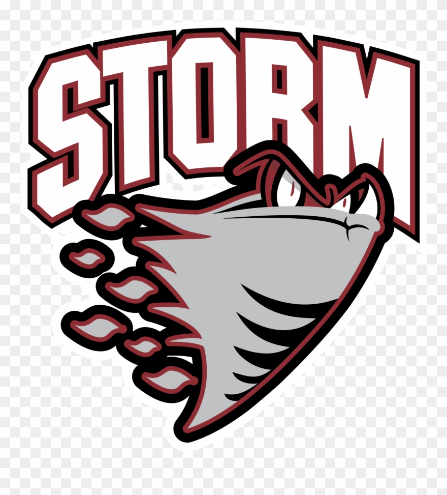 Msk Centre Is Proud To Provide Sports Medicine And - Guelph Storm Logo Png Clipart