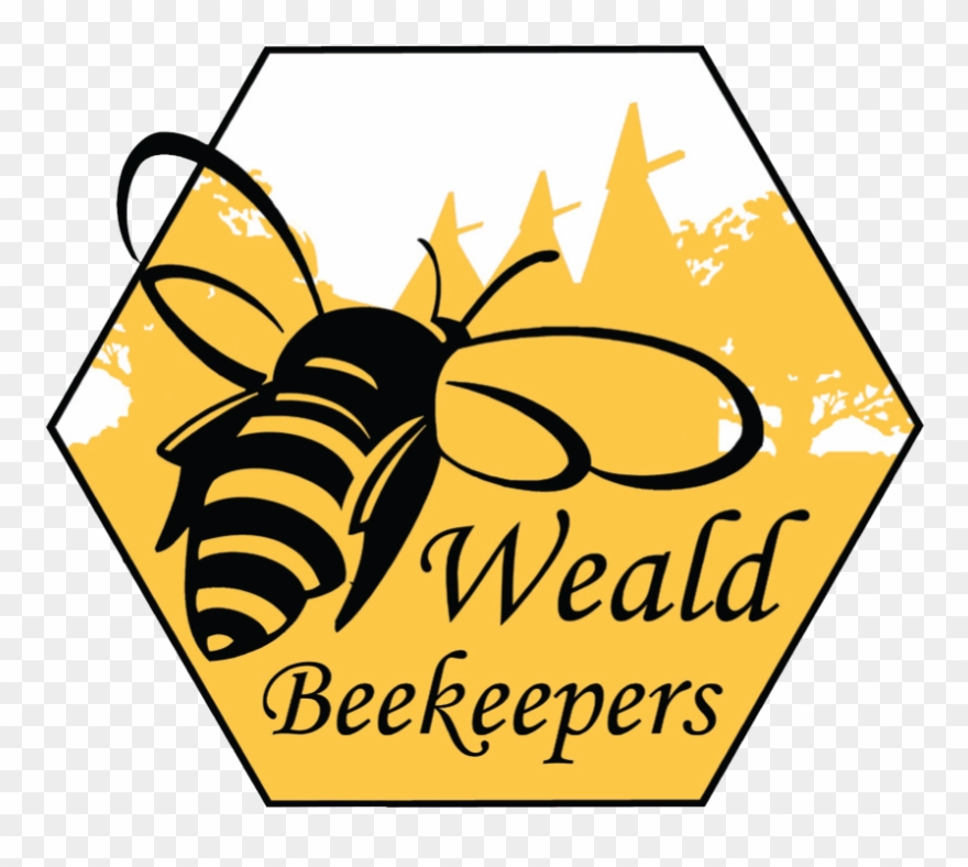 Bee-lieve Greeting Cards (pk Of 10) Clipart